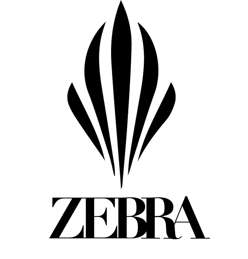 ZEBLOGO2