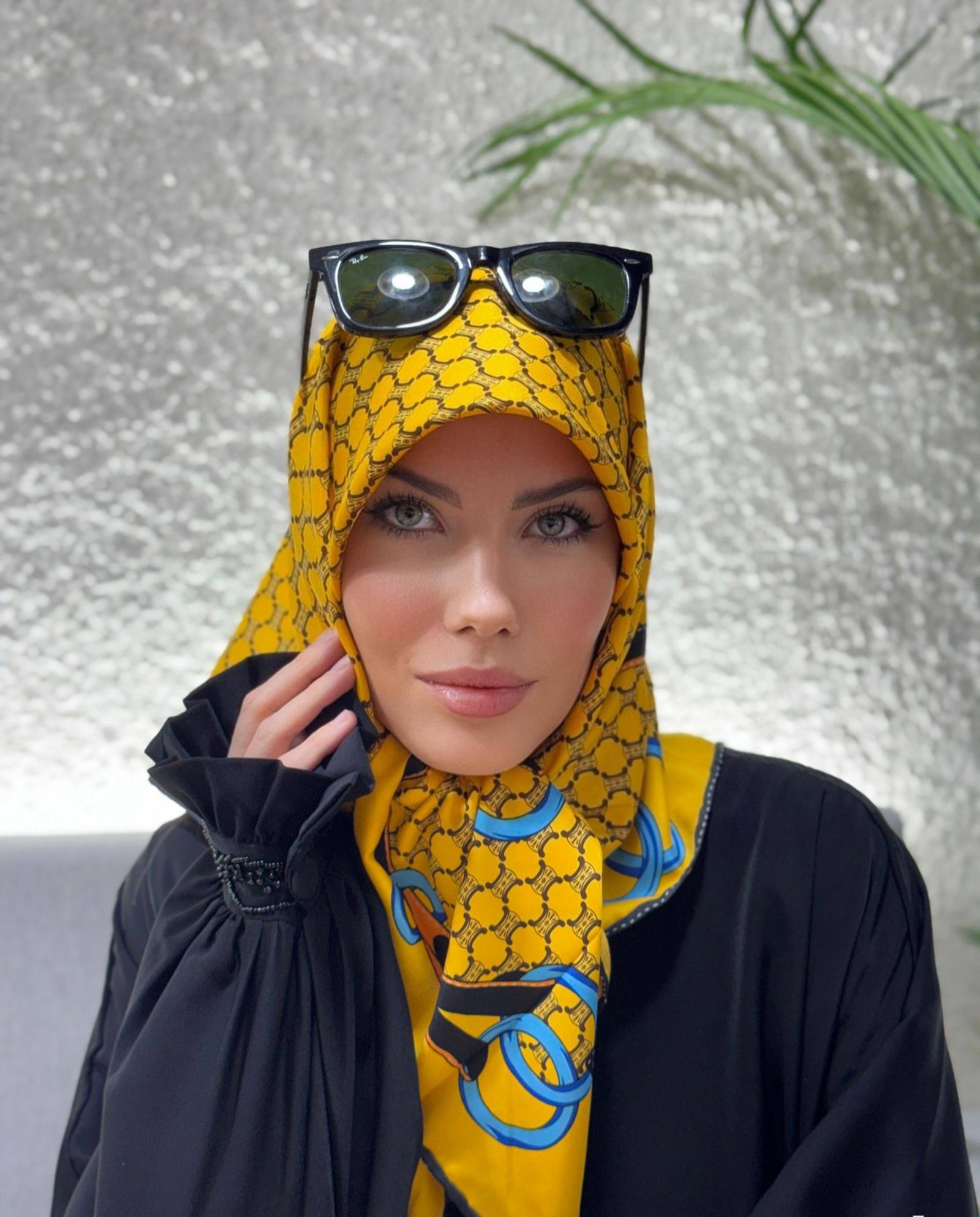 الحزمة الخاصة ٢